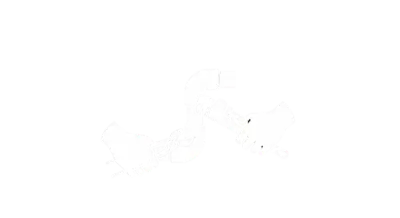 Bimanual Coordination